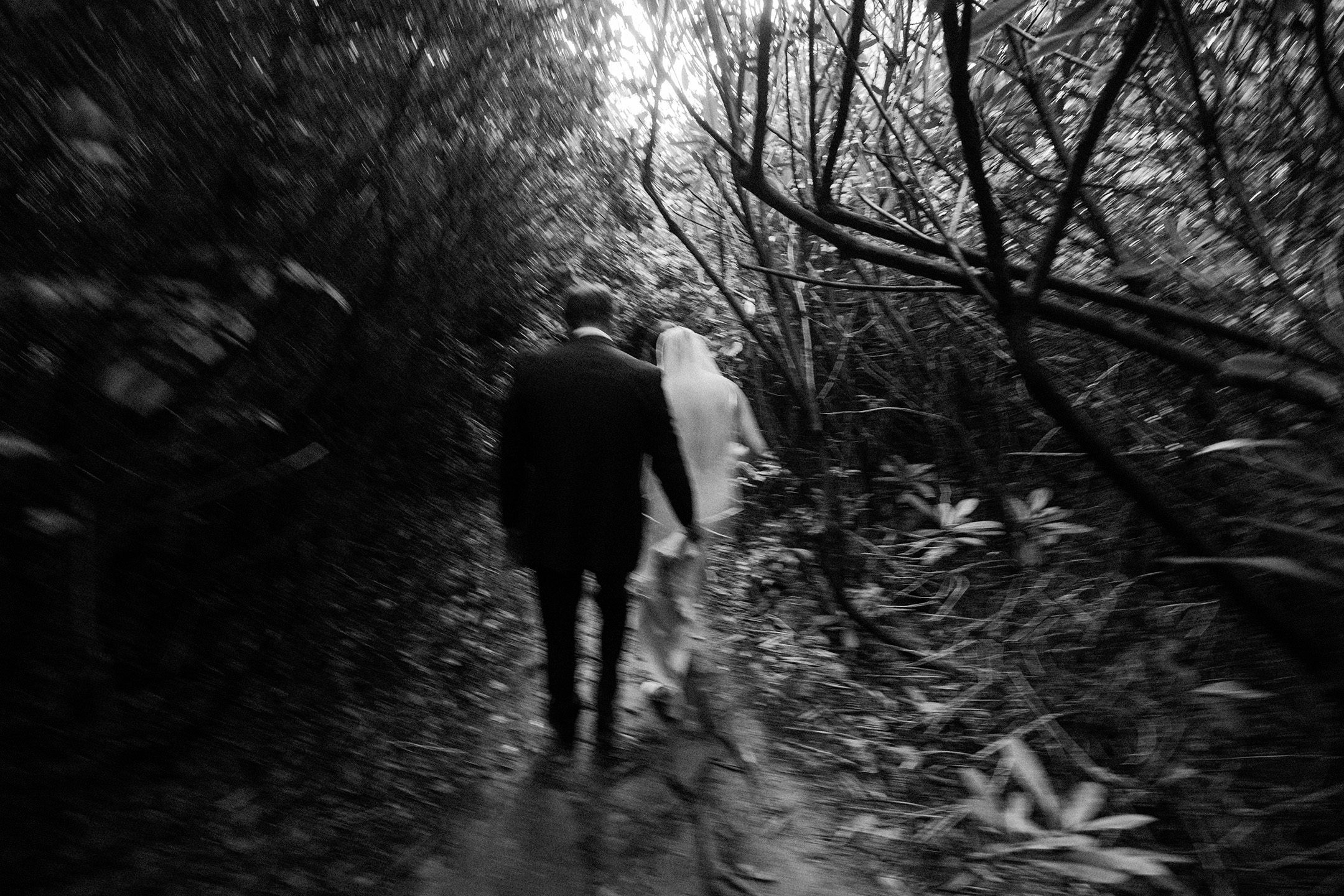 new-river-gorge-elopement-photographer.jpg