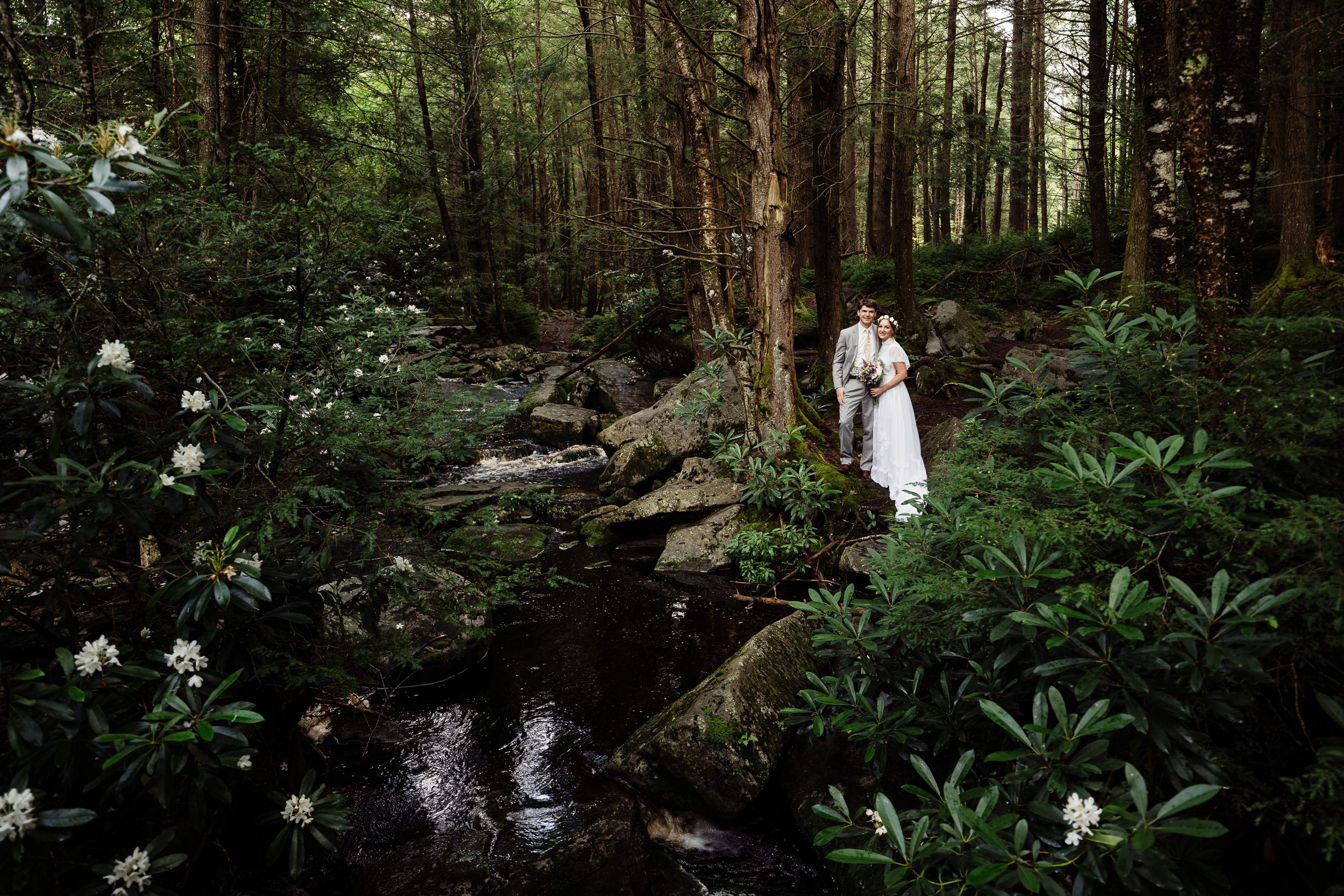 blackwater falls state park wedding