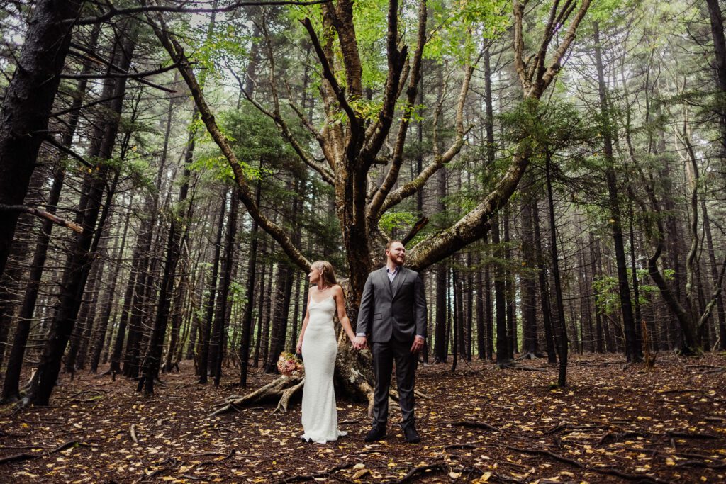 Dolly Sods Elopement 